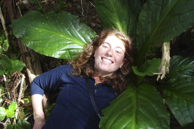 Skunk cabbage (Lysichiton americanus)