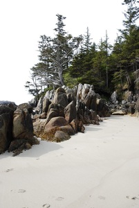 Calvert Island, British Columbia, Canada
